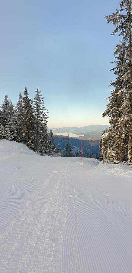 Chalupa Anna Červený Kláštor Buitenkant foto